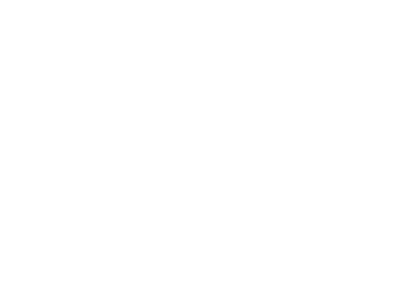 Logo: Institut Hawaii